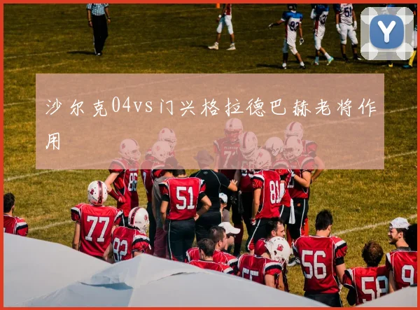 沙尔克04vs门兴格拉德巴赫老将作用