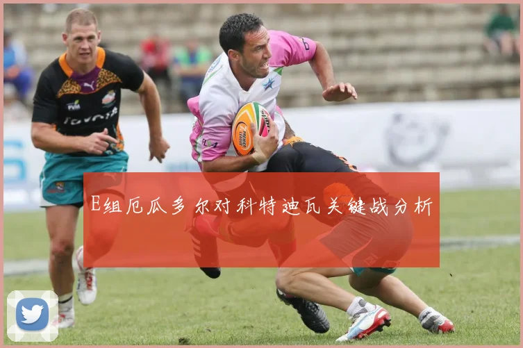 E组厄瓜多尔对科特迪瓦关键战分析