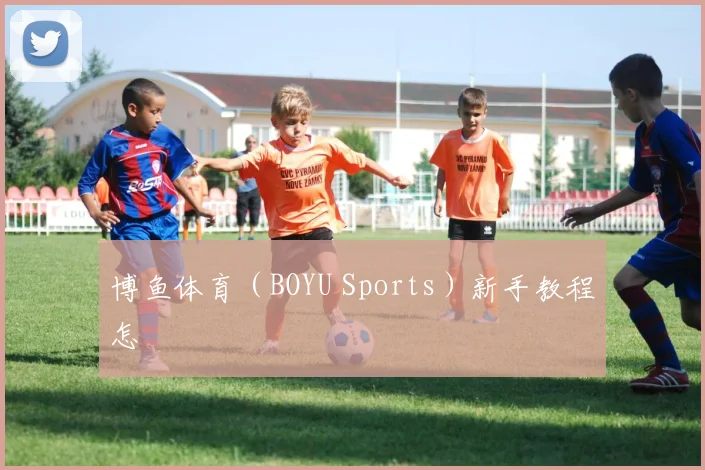 博鱼体育（BOYU Sports）新手教程怎