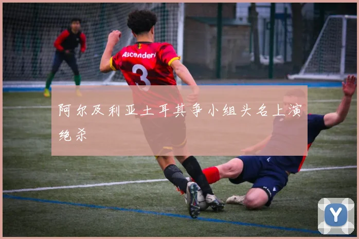阿尔及利亚土耳其争小组头名上演绝杀